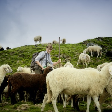 MASCHINENRING KÄRNTEN 07I2014 91